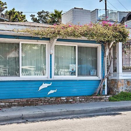 Central Catalina Cottage Walk To Ferry And Eateries 阿瓦隆 外观 照片